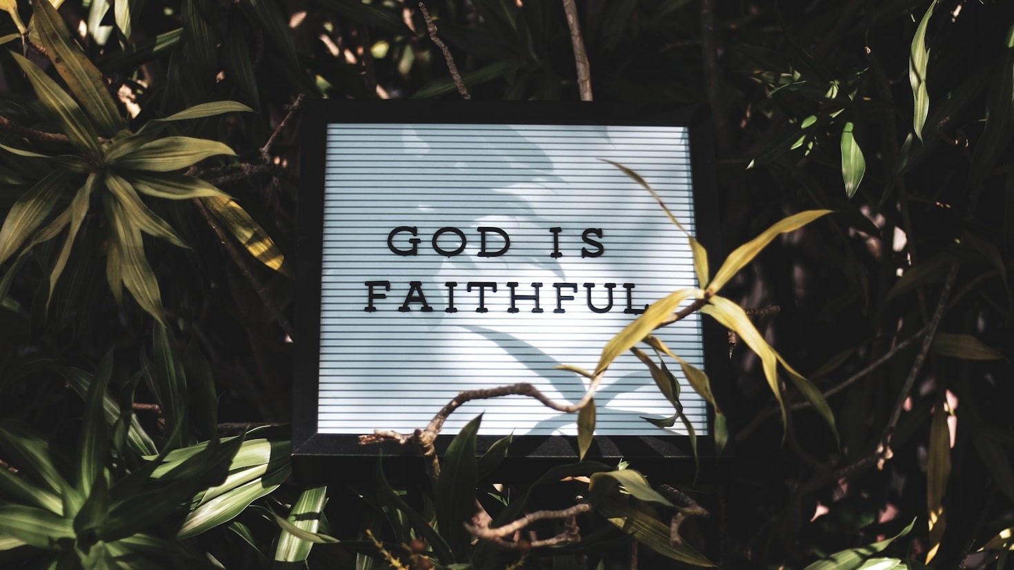 Stories of Hope and Spiritual Renewal